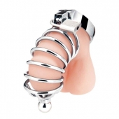 Серебристая клетка для члена Urethral Play Cage - BlueLine - купить с доставкой в Стерлитамаке