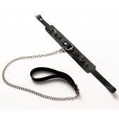 Черный ошейник с шипами и поводком - Crazy Handmade - купить с доставкой в Стерлитамаке