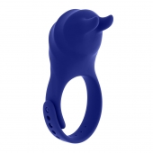 Синее эрекционное виброкольцо с клиторальной подушечкой и пультом ДУ Adjustable Fun Ring - Zero Tolerance - в Стерлитамаке купить с доставкой