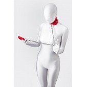 Красный ошейник с подкладкой из меха - ToyFa - купить с доставкой в Стерлитамаке