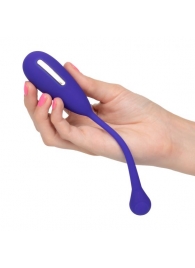 Фиолетовый шарик с электростимуляцией и вибрацией Intimate E-Stimulator Remote Kegel Exerciser - California Exotic Novelties - купить с доставкой в Стерлитамаке