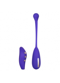 Фиолетовый шарик с электростимуляцией и вибрацией Intimate E-Stimulator Remote Kegel Exerciser - California Exotic Novelties - купить с доставкой в Стерлитамаке