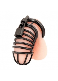 Черная металлическая клетка с замком Deluxe Chastity Cage - BlueLine - купить с доставкой в Стерлитамаке