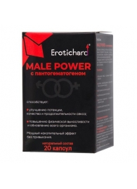 Капсулы для мужчин Erotichard male power с пантогематогеном - 20 капсул (0,370 гр.) - Erotic Hard - купить с доставкой в Стерлитамаке