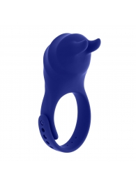 Синее эрекционное виброкольцо с клиторальной подушечкой и пультом ДУ Adjustable Fun Ring - Zero Tolerance - в Стерлитамаке купить с доставкой
