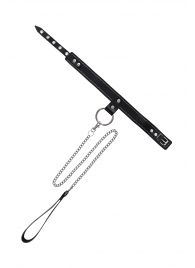 Черный узкий однослойный ошейник с серебристым поводком-цепочкой - Pecado - купить с доставкой в Стерлитамаке