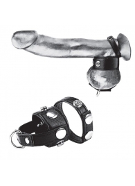 Утяжка для мошонки и пениса Cock Ring With 1  Ball Stretcher And Optional Weight Ring - BlueLine - купить с доставкой в Стерлитамаке