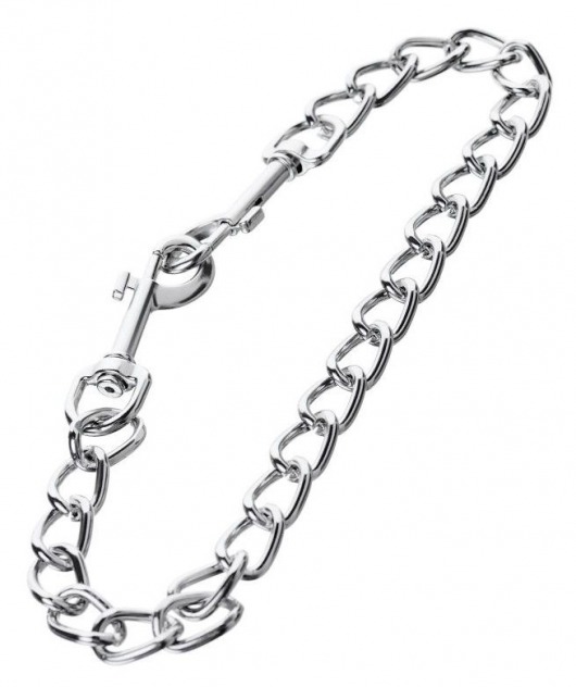 Серебристая соединительная цепочка с двумя карабинами - ToyFa - купить с доставкой в Стерлитамаке