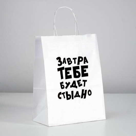 Подарочный пакет  Завтра тебе будет стыдно  - 30 х 24 см. - UPAK LAND - купить с доставкой в Стерлитамаке