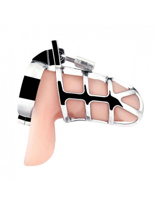 Серебристая металлическая клетка для члена с замком Enslave Cock Cage - BlueLine - купить с доставкой в Стерлитамаке