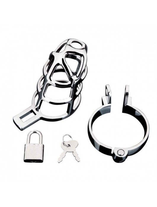 Серебристая металлическая клетка для члена с замком Enslave Cock Cage - BlueLine - купить с доставкой в Стерлитамаке