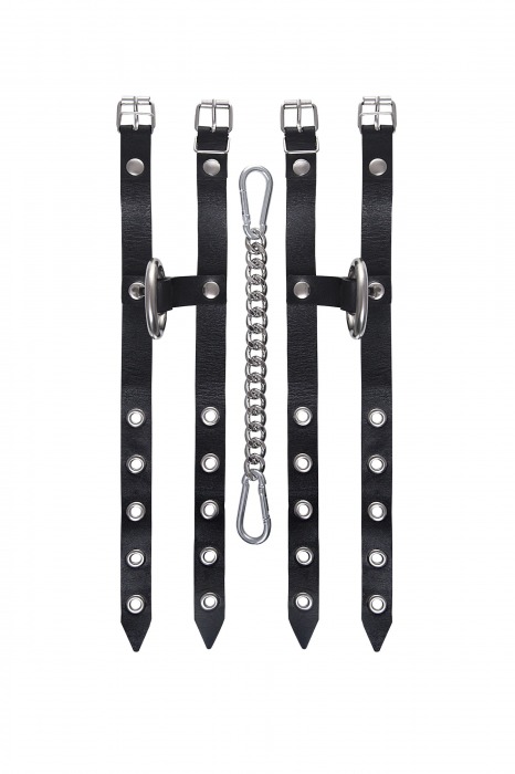 Черные однослойные кожаные оковы из двух ремешков - Pecado - купить с доставкой в Стерлитамаке