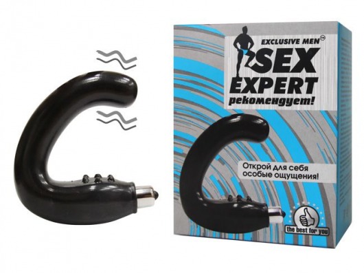 Чёрный массажёр простаты серии Sex Expert - Sex Expert - в Стерлитамаке купить с доставкой