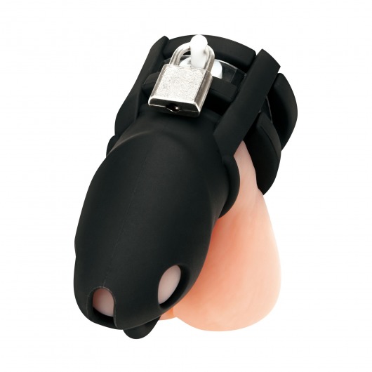 Черная клетка для пениса Silicone Small 2 in Cock Cage With Ball Divider - BlueLine - купить с доставкой в Стерлитамаке