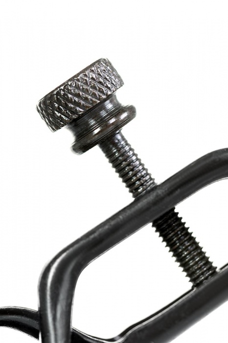 Черно-золотистые зажимы для сосков TOYFA Theatre - ToyFa - купить с доставкой в Стерлитамаке