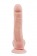 Телесный фаллоимитатор-реалистик Dual Density Dildo - 23 см. - Dream Toys купить с доставкой в интернет-магазине Orgasmix в Стерлитамаке Телесный фаллоимитатор-реалистик Dual Density Dildo - 23 см. - Dream Toys